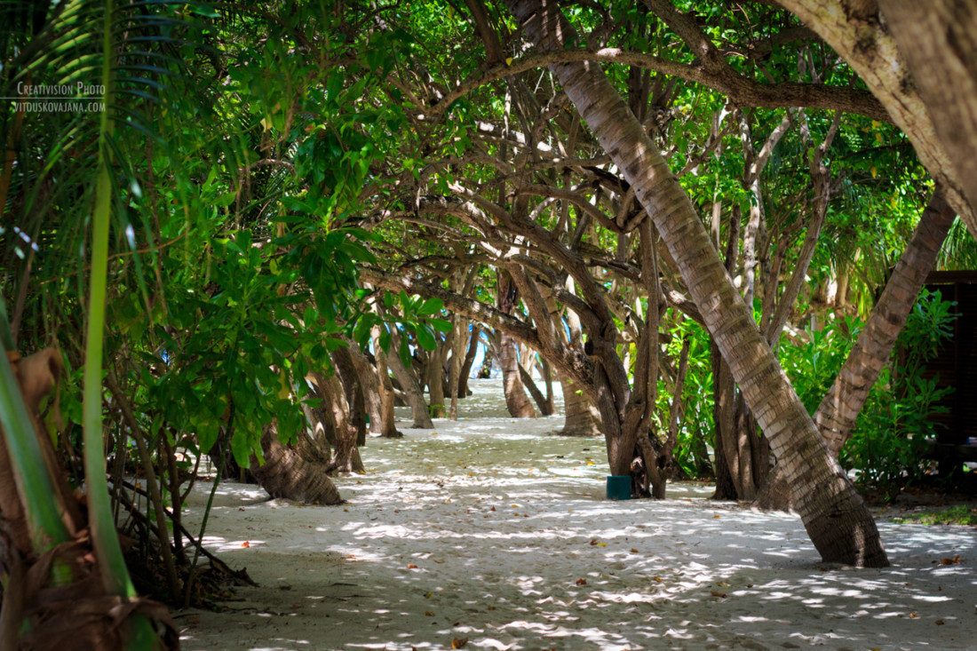 barefoot path at Kuramathi Island Resort Maldives