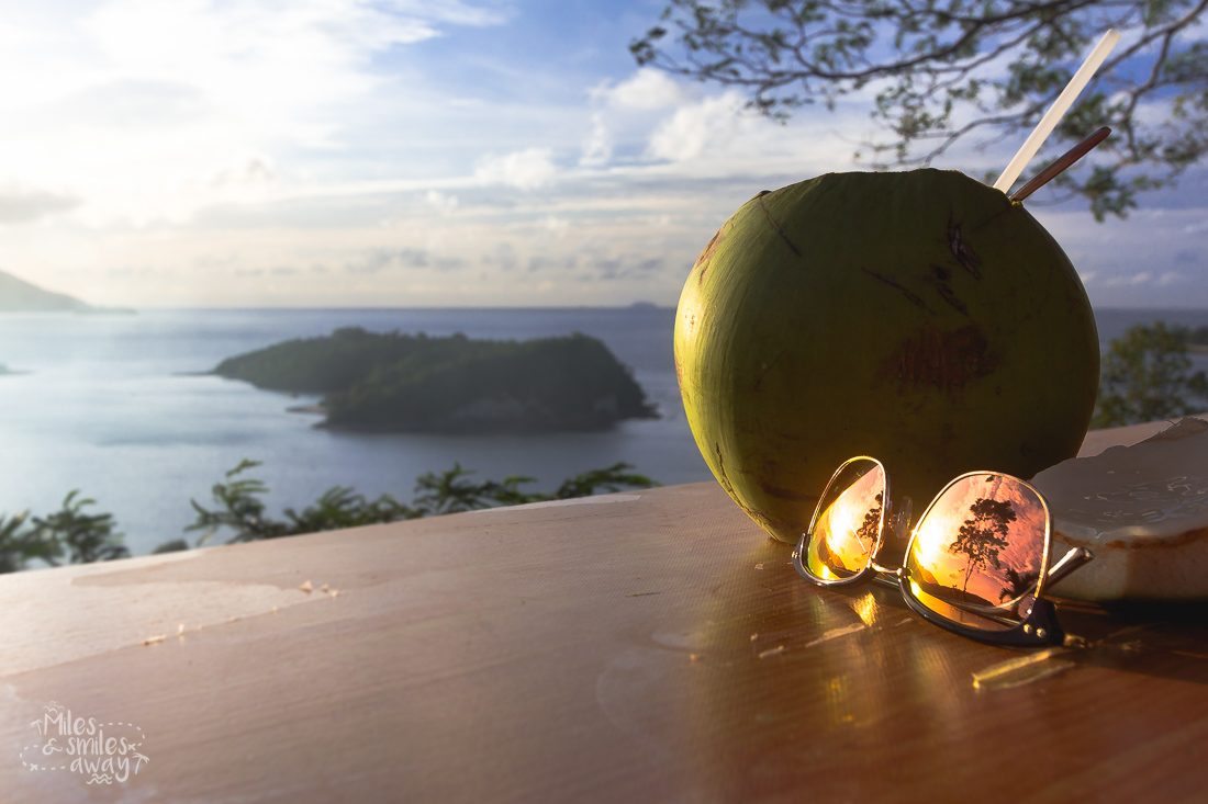 coconut in pulau weh island